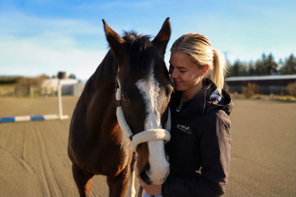 Off The Track Thoroughbred during a PinOaks Transition Assessment